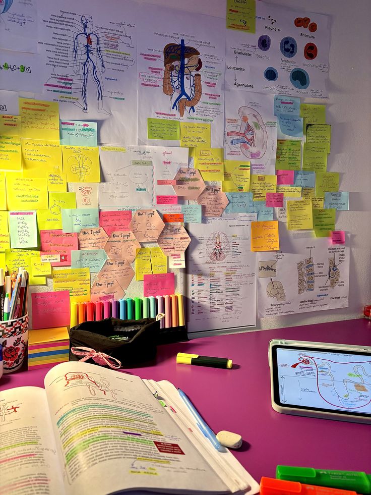 Estudiar solo, sin un método claro